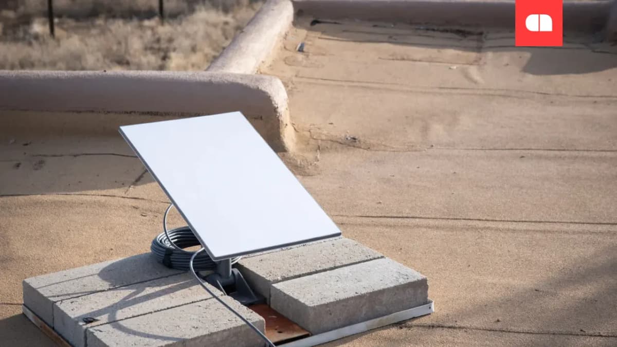 Верифікувати Starlink через Telegram-бот: «256 кібердивізія» провела спецоперацію з фейковим акаунтом для верифікації Starlink