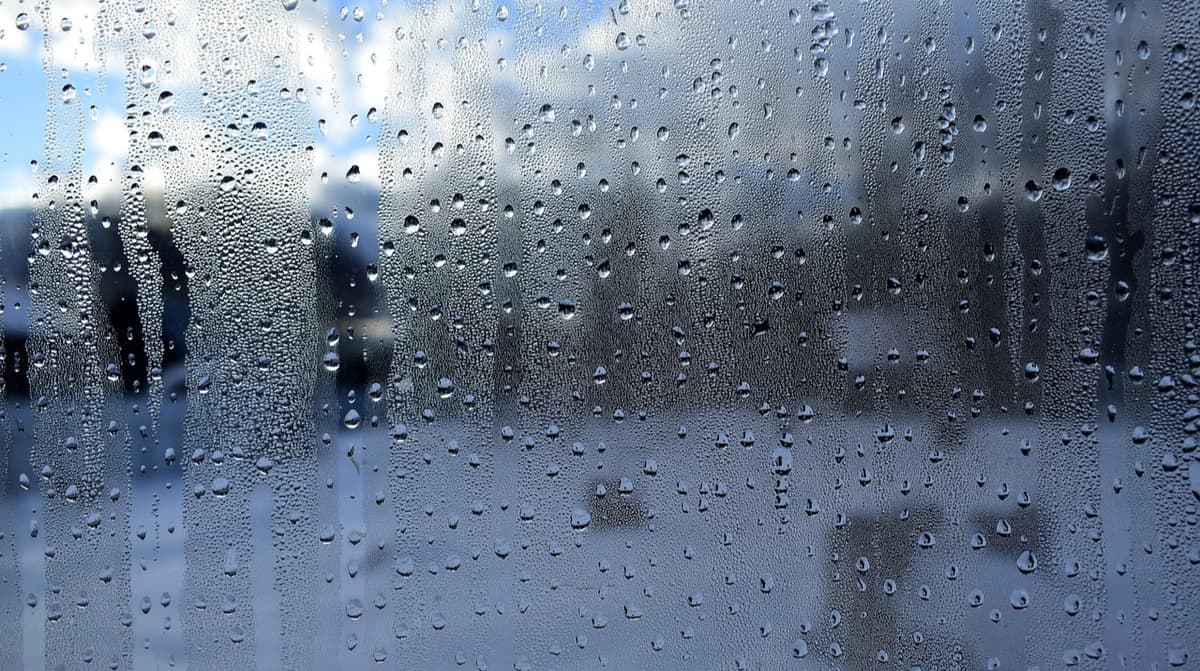 Найближчими днями в Україні дощитиме
