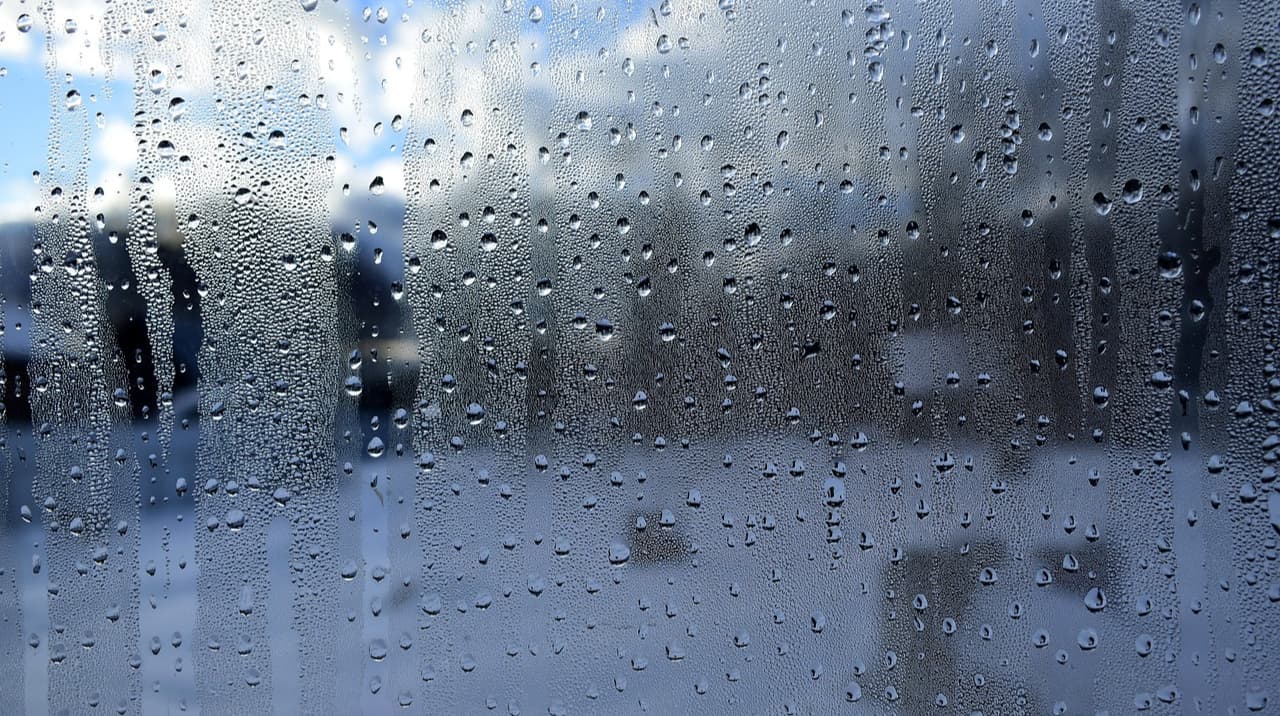 Найближчими днями в Україні дощитиме