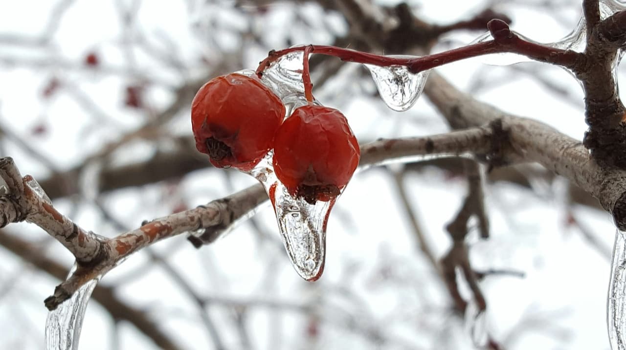У п'ятницю та на вихідних в Україні очікуються дощі